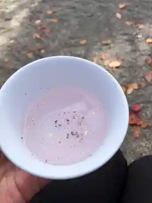 東寺（教王護国寺）(京都府)