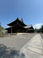 妙心寺(妙心禅寺)(京都府)