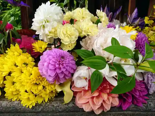 勝林寺(京都府)