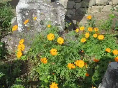 法養寺薬師堂(埼玉県)