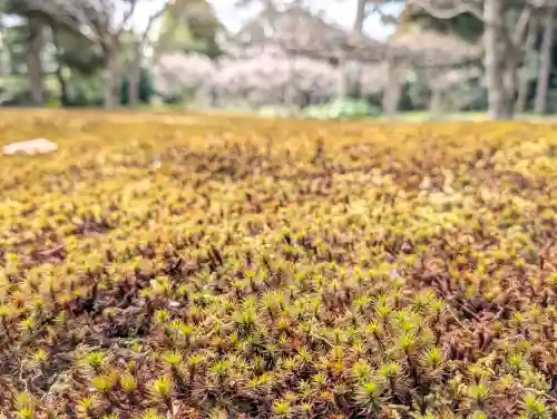 城南宮の{uncategorized: "未分類", other: "その他", undefined: "問題あり", building: "その他建物", grave: "お墓", sacred_gate: "鳥居", guardian: "狛犬", statue: "像", buddha: "仏像", history: "歴史", nature: "自然", garden: "庭園", animal: "動物", pagoda: "塔", temizu: "手水舎", mountain_gate: "山門・神門", sanctuary: "本殿・本堂", subordinate: "末社・摂社", art: "芸術", scenery: "景色", jizo: "地蔵", ema: "絵馬", goshuin: "御朱印", omikuji: "おみくじ", items: "授与品その他", amulet: "お守り", goshuincho: "御朱印帳", eats: "食事", festival: "お祭り", votive_dance: "神楽", shichigosan: "七五三参", wedding: "結婚式", experience: "体験その他", initially: "初詣", around: "周辺", anti_infection: "感染症対策"}
