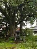 不老神社のその他建物