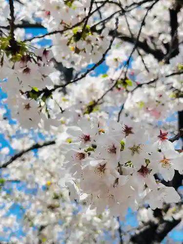 弘明寺の{uncategorized: "未分類", other: "その他", undefined: "問題あり", building: "その他建物", grave: "お墓", sacred_gate: "鳥居", guardian: "狛犬", statue: "像", buddha: "仏像", history: "歴史", nature: "自然", garden: "庭園", animal: "動物", pagoda: "塔", temizu: "手水舎", mountain_gate: "山門・神門", sanctuary: "本殿・本堂", subordinate: "末社・摂社", art: "芸術", scenery: "景色", jizo: "地蔵", ema: "絵馬", goshuin: "御朱印", omikuji: "おみくじ", items: "授与品その他", amulet: "お守り", goshuincho: "御朱印帳", eats: "食事", festival: "お祭り", votive_dance: "神楽", shichigosan: "七五三参", wedding: "結婚式", experience: "体験その他", initially: "初詣", around: "周辺", anti_infection: "感染症対策"}