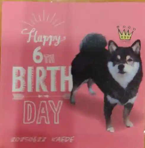 上目黒氷川神社(東京都)