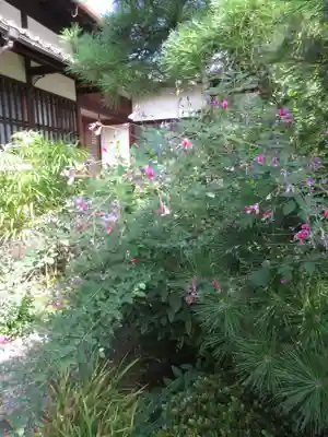 常林寺のその他建物