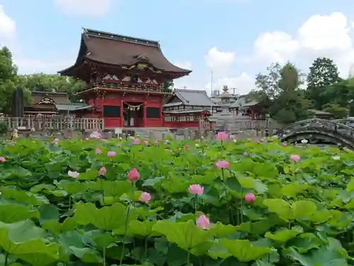 伊賀八幡宮の庭園