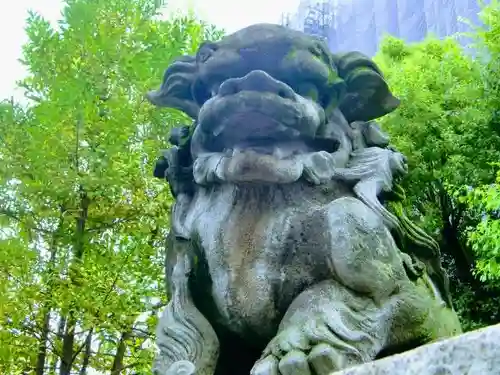 東神奈川熊野神社の狛犬