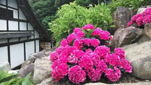 柳谷観音　楊谷寺のその他建物