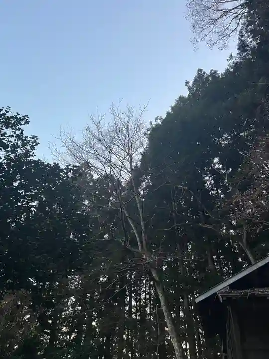 大宮温泉神社(栃木県)