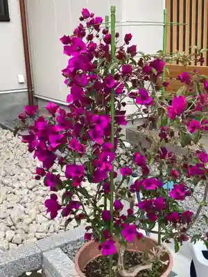 別願寺(神奈川県)