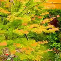 寿量山 速成寺(奈良県)