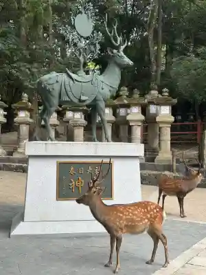 春日大社(奈良県)