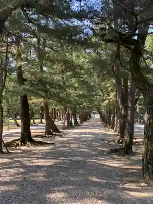 出雲大社(島根県)