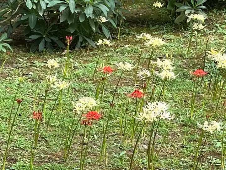 宝城坊(神奈川県)