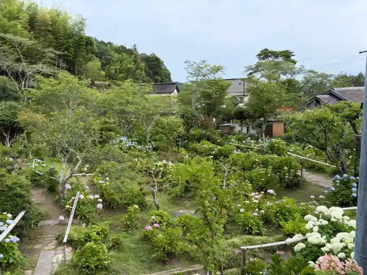 極楽寺(静岡県)