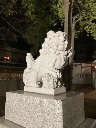 新琴似神社の狛犬