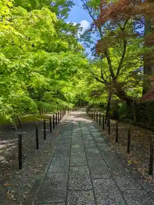 光明寺（粟生光明寺）(京都府)