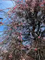 小村井 香取神社(東京都)