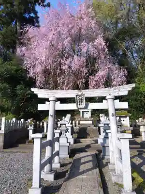 熊野神社(福井県)