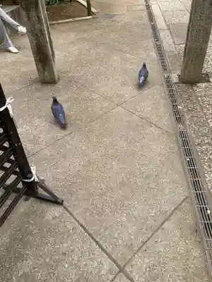 鳩森八幡神社(東京都)