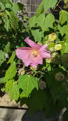 三會寺(京都府)