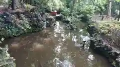 世田谷八幡宮の庭園