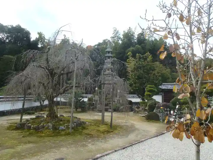保壽院(保寿院)(岐阜県)