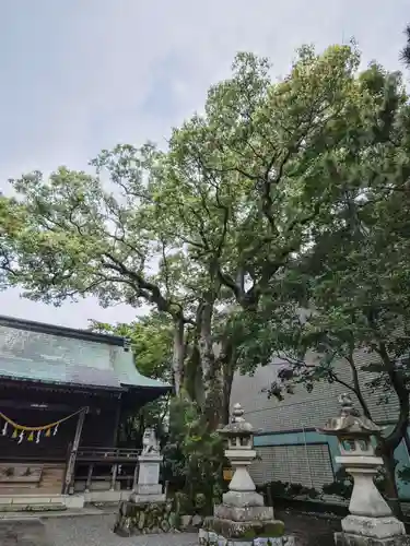 貴布禰神社の自然