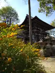 松尾大社の建物その他