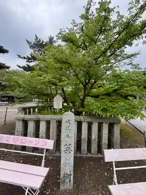 鶴林寺(兵庫県)