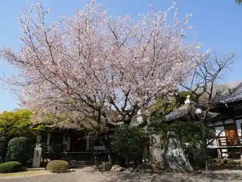 與楽寺の景色