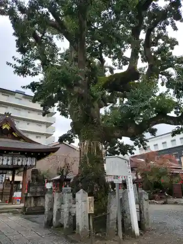 金札宮の{uncategorized: "未分類", other: "その他", undefined: "問題あり", building: "その他建物", grave: "お墓", sacred_gate: "鳥居", guardian: "狛犬", statue: "像", buddha: "仏像", history: "歴史", nature: "自然", garden: "庭園", animal: "動物", pagoda: "塔", temizu: "手水舎", mountain_gate: "山門・神門", sanctuary: "本殿・本堂", subordinate: "末社・摂社", art: "芸術", scenery: "景色", jizo: "地蔵", ema: "絵馬", goshuin: "御朱印", omikuji: "おみくじ", items: "授与品その他", amulet: "お守り", goshuincho: "御朱印帳", eats: "食事", festival: "お祭り", votive_dance: "神楽", shichigosan: "七五三参", wedding: "結婚式", experience: "体験その他", initially: "初詣", around: "周辺", anti_infection: "感染症対策"}