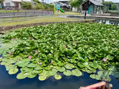 出世弁財天女宮(東京都)
