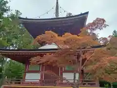 根本大塔　高野山金剛峯寺(和歌山県)