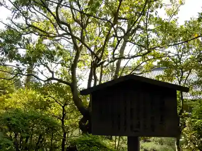 等持院のその他建物