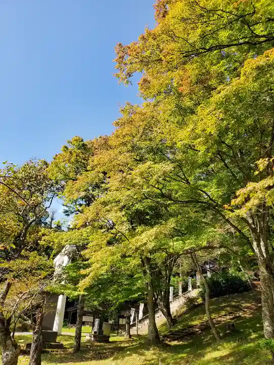 土津神社|こどもと出世の神さまの自然