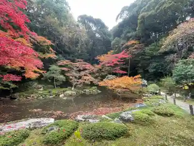 南禅院(京都府)