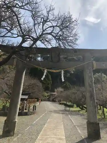 菅原神社(鹿児島県)