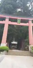 河口浅間神社の鳥居