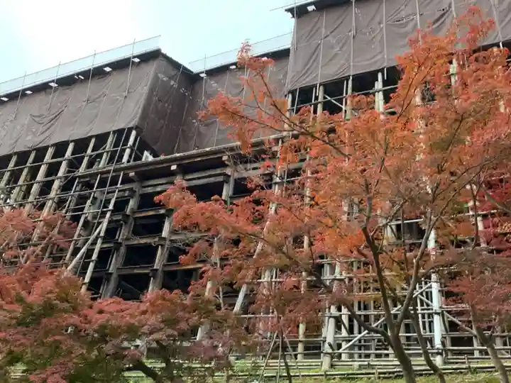 清水寺の本殿・本堂