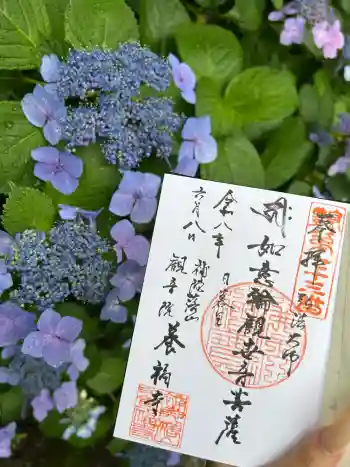 養福寺の御朱印 2026年06月