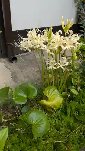 尊陽院(京都府)