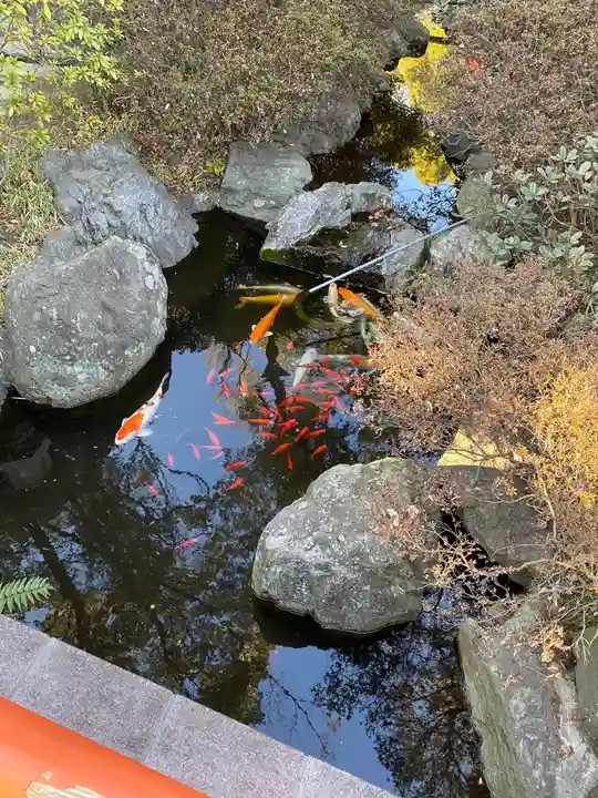 千葉天神(千葉県)