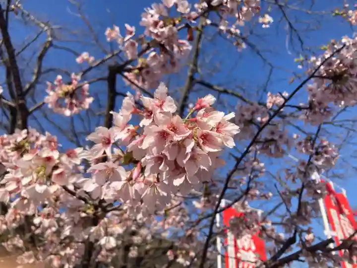大船観音寺の{uncategorized: "未分類", other: "その他", undefined: "問題あり", building: "その他建物", grave: "お墓", sacred_gate: "鳥居", guardian: "狛犬", statue: "像", buddha: "仏像", history: "歴史", nature: "自然", garden: "庭園", animal: "動物", pagoda: "塔", temizu: "手水舎", mountain_gate: "山門・神門", sanctuary: "本殿・本堂", subordinate: "末社・摂社", art: "芸術", scenery: "景色", jizo: "地蔵", ema: "絵馬", goshuin: "御朱印", omikuji: "おみくじ", items: "授与品その他", amulet: "お守り", goshuincho: "御朱印帳", eats: "食事", festival: "お祭り", votive_dance: "神楽", shichigosan: "七五三参", wedding: "結婚式", experience: "体験その他", initially: "初詣", around: "周辺", anti_infection: "感染症対策"}