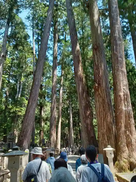高野山金剛峯寺奥の院(和歌山県)