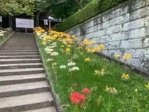 横浜　西方寺(神奈川県)