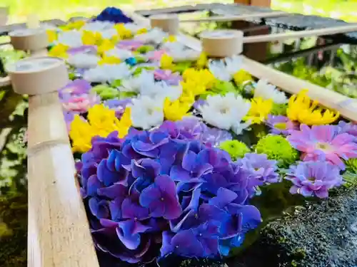 土津神社｜こどもと出世の神さまの手水舎