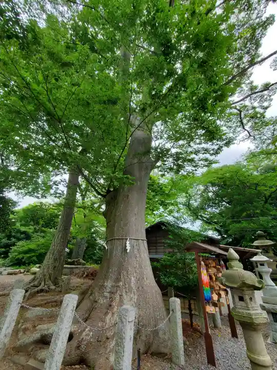日吉神社(福島県)
