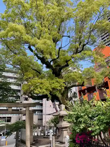 東高津宮(大阪府)