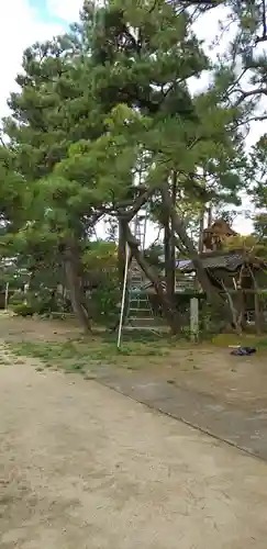 智恩寺の庭園